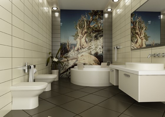 3D Graphics: Визуализация
